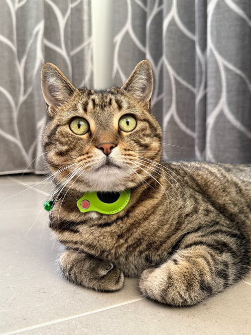 AirTag Cat Collar — Secure AirTag Holder, Breakaway Safety & Adjustable Fit