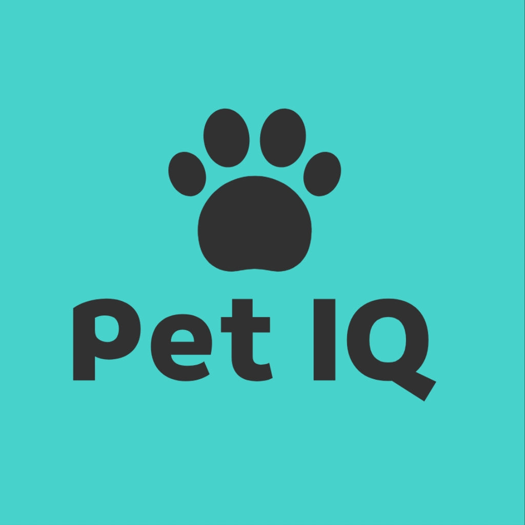 Pet IQ SmartLoo — The Automatic, App‑Controlled Litter Box That Cleans Itself and Saves You Time Every Day